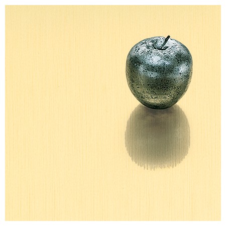 Image of Number 804 Special Order Gemini Satin-Solid-Brass metal laminate.