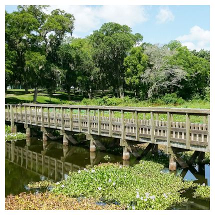 Image of Houston attractions