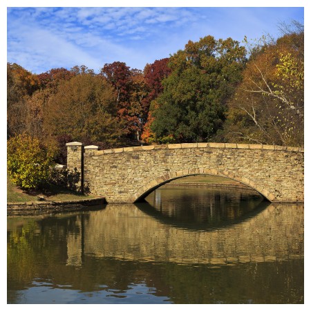 Image of Charlotte attractions