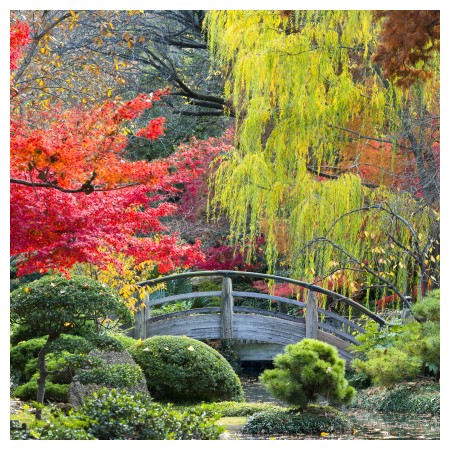 Image of Fort Worth attractions